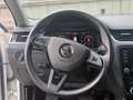 Skoda Octavia Style Limited TDI DSG Weiß - thumbnail 14