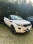 Land Rover Range Rover Evoque Evoque 2.2 td4 Dynamic 150cv Motore Rotto Bianco - thumbnail 1