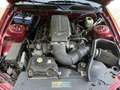 Ford Mustang USA 4.6 V8 GT origineel 42915 Mijl Rouge - thumbnail 11