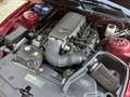Ford Mustang USA 4.6 V8 GT origineel 42915 Mijl Rood - thumbnail 13