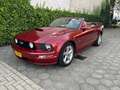 Ford Mustang USA 4.6 V8 GT origineel 42915 Mijl Czerwony - thumbnail 7