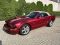 Ford Mustang USA 4.6 V8 GT origineel 42915 Mijl Rouge - thumbnail 9