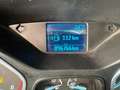 Ford Focus 5p 1.6 Tdci Plus 95 CV NEOPATENTATI GARANZIA Azul - thumbnail 16