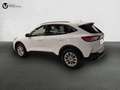 Ford Kuga 1.5 EcoBlue Titanium FWD 120 Aut. Blanco - thumbnail 3