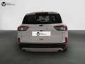Ford Kuga 1.5 EcoBlue Titanium FWD 120 Aut. Blanco - thumbnail 4