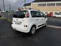 Citroen C3 Picasso 1.6 HDi FAP - 90 Exclusive Gps + Clim + Radar AR Blanc - thumbnail 5