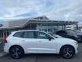 Volvo XC60 T8 R Design Plug-In Hybrid AWD Weiß - thumbnail 4