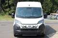 Fiat Ducato Ducato Maxi L3H2 180PS 10Zoll Navi Kamera Schwi... - thumbnail 5