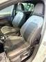 Volkswagen Golf Golf 5p 1.6 tdi Sport 115cv DSG R-Line Bianco - thumbnail 12