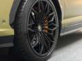 Lamborghini Urus Urus SE *PPF*Verde Gea matt*B&O*Hinterachslenkung* Bronze - thumbnail 11