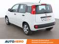 Fiat Panda 1.2 Easy Wit - thumbnail 3