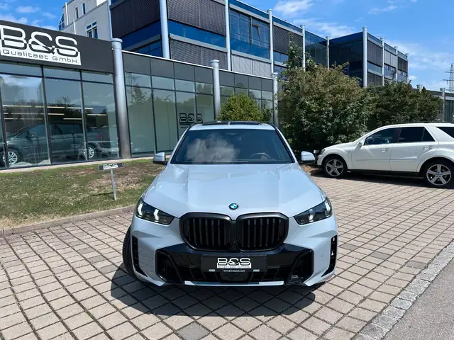 BMW X5 view 10