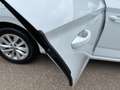 Skoda Scala Selection 1.0 TSI 85kW 7-Gang-DSG MJ.2024 Weiß - thumbnail 9