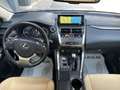 Lexus NX 300 NX Hybrid 4WD Premium Grijs - thumbnail 9
