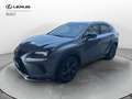 Lexus NX 300 NX Hybrid 4WD Premium Grijs - thumbnail 1