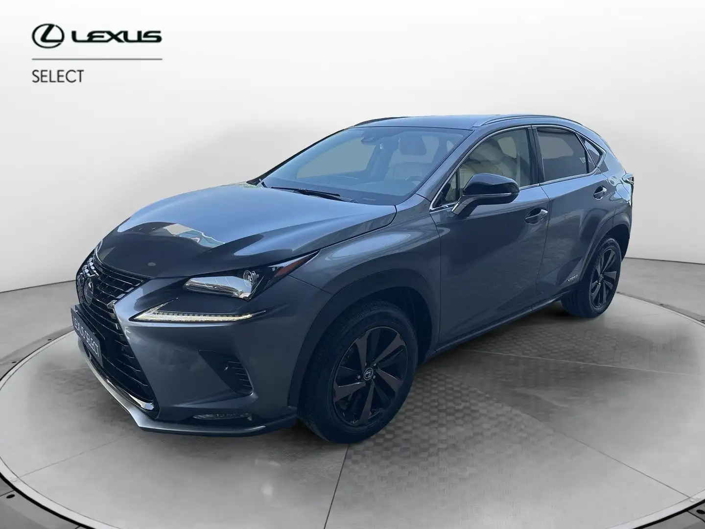 Lexus NX 300 NX Hybrid 4WD Premium Grijs - 1