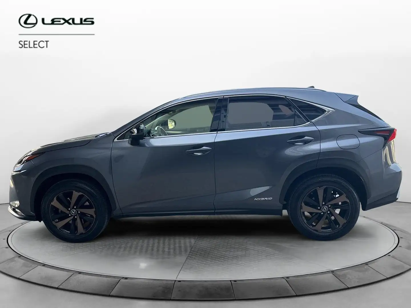 Lexus NX 300 NX Hybrid 4WD Premium Grijs - 2