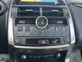 Lexus NX 300 NX Hybrid 4WD Premium Grijs - thumbnail 14