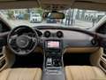 Jaguar XJ 3.0d V6 Portfolio 275CV TETTO CAM Bleu - thumbnail 2