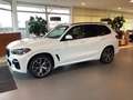BMW X5 xDrive30d M Sportpaket Head-Up HiFi DAB WLAN Weiß - thumbnail 18