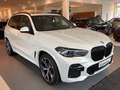 BMW X5 xDrive30d M Sportpaket Head-Up HiFi DAB WLAN Weiß - thumbnail 16