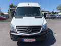 Mercedes-Benz Sprinter 316 CDI,Kaste,L2H2,AHK 3,5T,Standhei,Net.14900€ Weiß - thumbnail 6