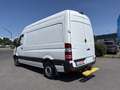 Mercedes-Benz Sprinter 316 CDI,Kaste,L2H2,AHK 3,5T,Standhei,Net.14900€ Weiß - thumbnail 3