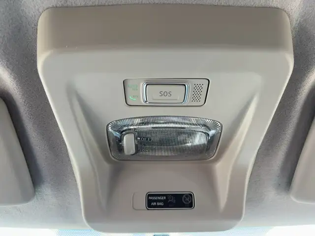 Dacia Spring view 17