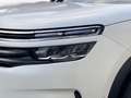 Citroen C5 Aircross 1.5 bluehdi Shine s&s 130cv my20 - PROMO Bílá - thumbnail 22