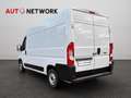 Fiat Ducato 33 2.2 Mjt 140CV L2H2 PM-TM Furgone Wit - thumbnail 5