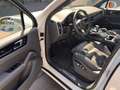 Porsche Cayenne S #SPORT DESIGN! PSCB! 22"ALU! 1-HAND! Weiß - thumbnail 4