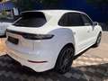 Porsche Cayenne S #SPORT DESIGN! PSCB! 22"ALU! 1-HAND! Weiß - thumbnail 20