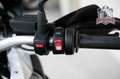 BMW R 1250 GS Alb - thumbnail 7