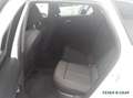 Audi A3 35 TFSI S Line Ext Navi,LED,Sitzhzg Weiß - thumbnail 10