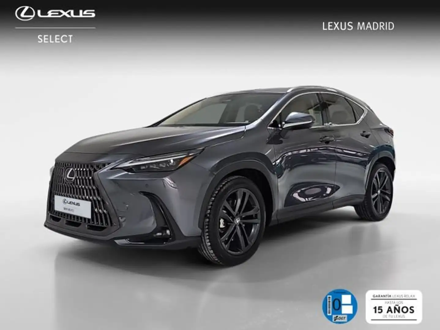 Lexus NX 450h+ Executive+ 4WD Gris - 1