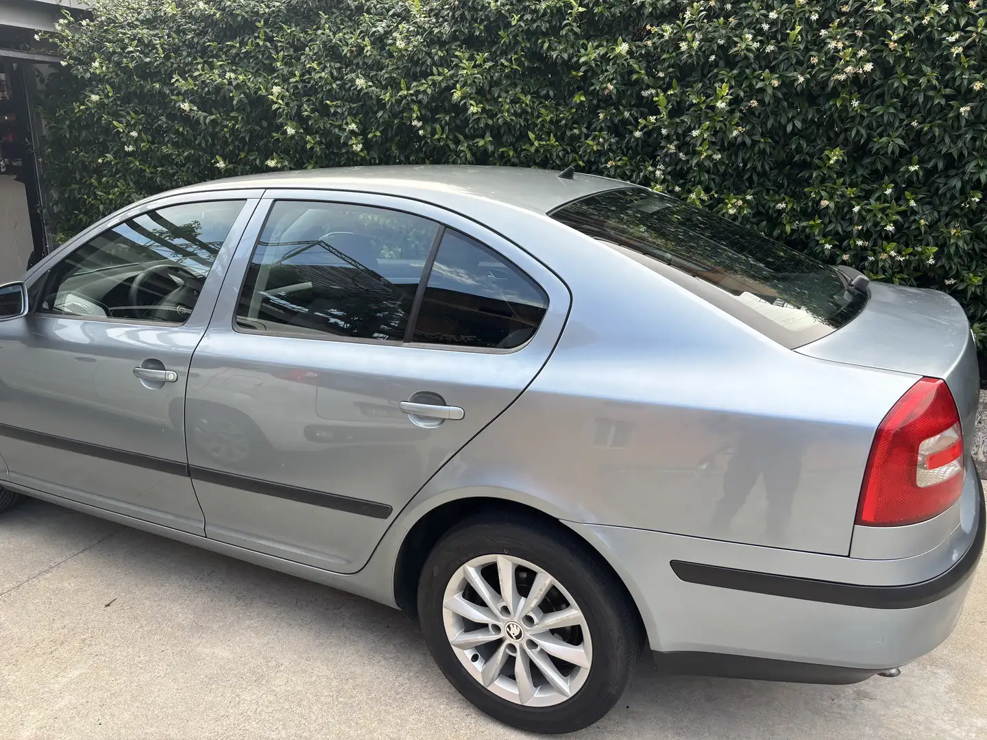 Skoda Octavia 1.9 TDI Edition 100 - 2