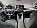 CUPRA Terramar ALPHA 1.5 e-TSI 150 PS DSG Bleu - thumbnail 13