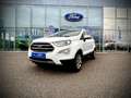 Ford EcoSport 1,0 EcoBoost Titanium 1.0B 125PS SITZHEIZUNG/KE... Weiß - thumbnail 1