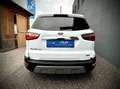 Ford EcoSport 1,0 EcoBoost Titanium 1.0B 125PS SITZHEIZUNG/KE... Blanc - thumbnail 15