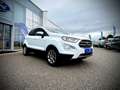 Ford EcoSport 1,0 EcoBoost Titanium 1.0B 125PS SITZHEIZUNG/KE... Weiß - thumbnail 5