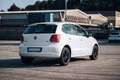 Volkswagen Polo Plus - thumbnail 5