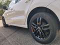 Volkswagen Polo Plus - thumbnail 12