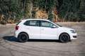 Volkswagen Polo Plus - thumbnail 13