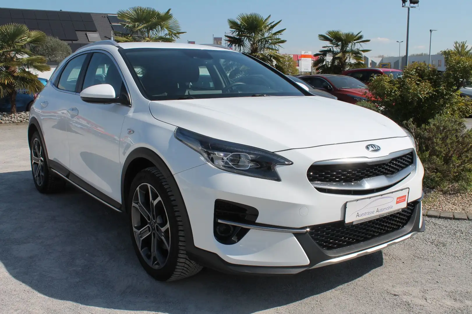 Kia XCeed 1.Hand, Navi, LED, Kamera, PDC, SHZ Weiß - 1