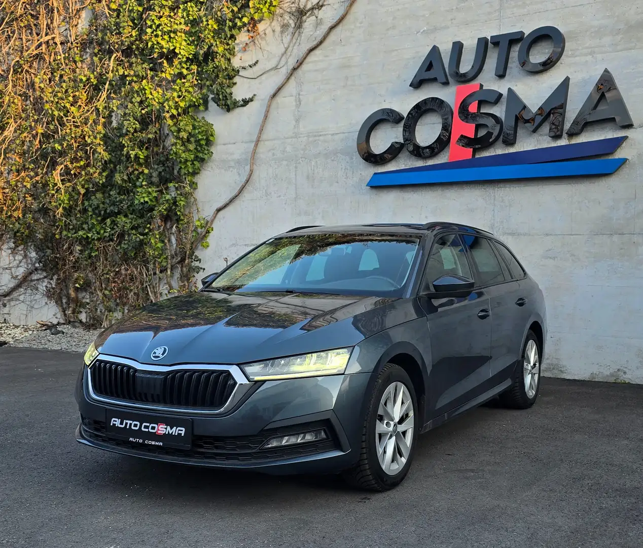 Skoda Octavia Ambition Grau - 1