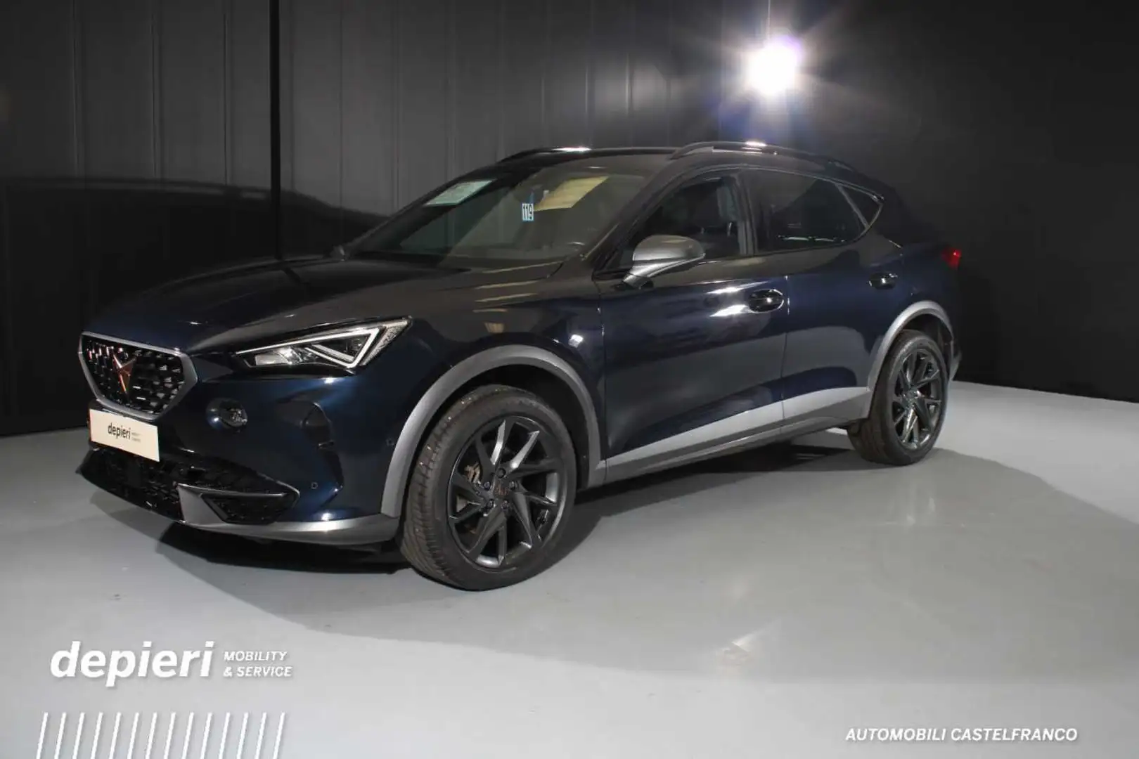 CUPRA Formentor 2.0 TDI 4Drive DSG Blu/Azzurro - 1