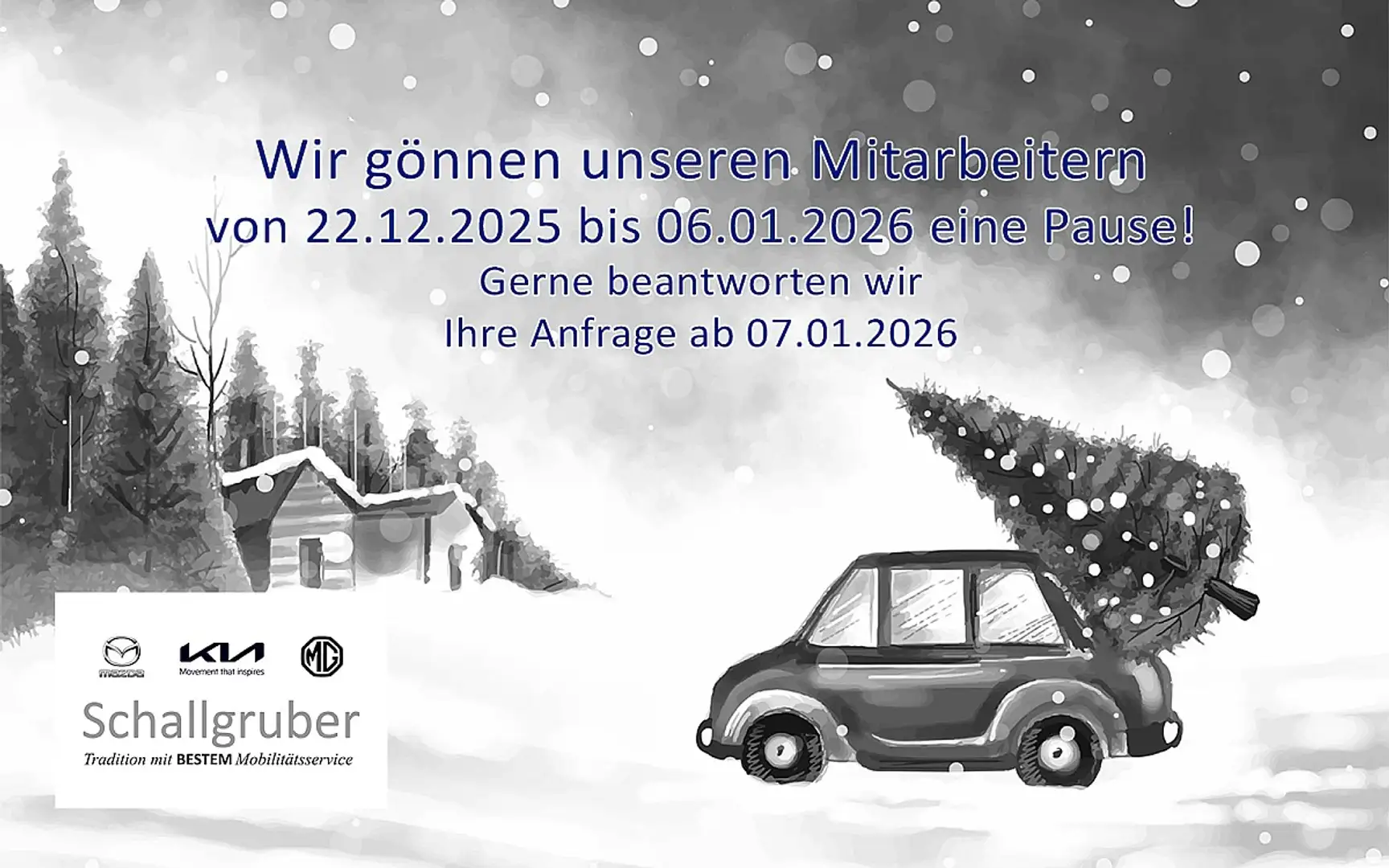 Kia EV3 FWD 81,4kWh Long Range Air Sitzheizung Grau - 2