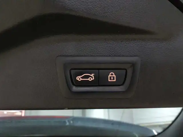 BMW X5 view 10