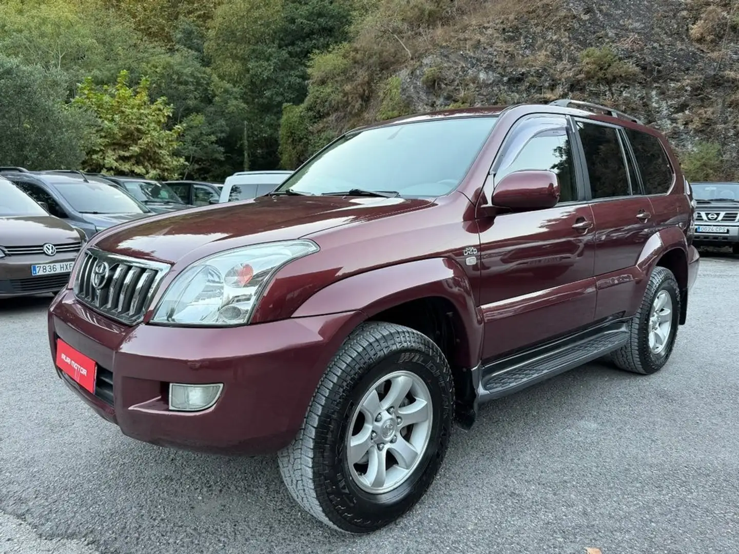 Toyota Land Cruiser 3.0 D4D VX Burdeos - 2