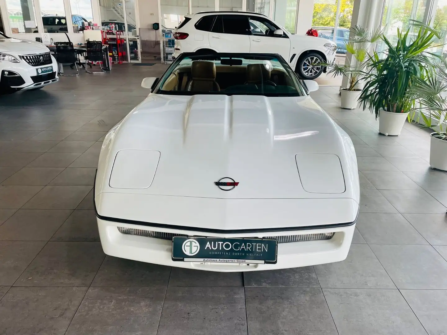 Corvette C4 Chevrolet Corvette C4 Convertible *Original Lack Weiß - 2